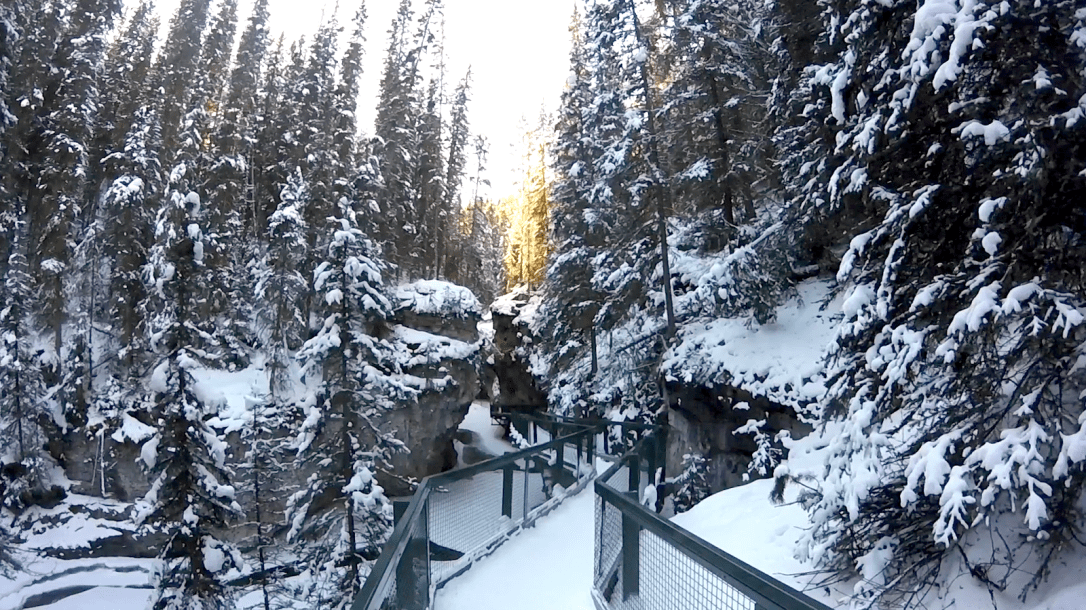 throwback-thursday-4b