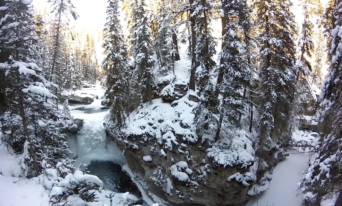 throwback-thursday-4d