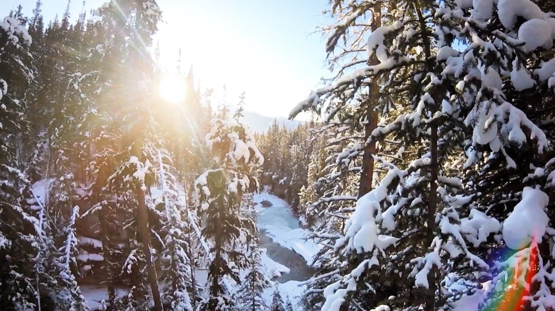 throwback-thursday-4e