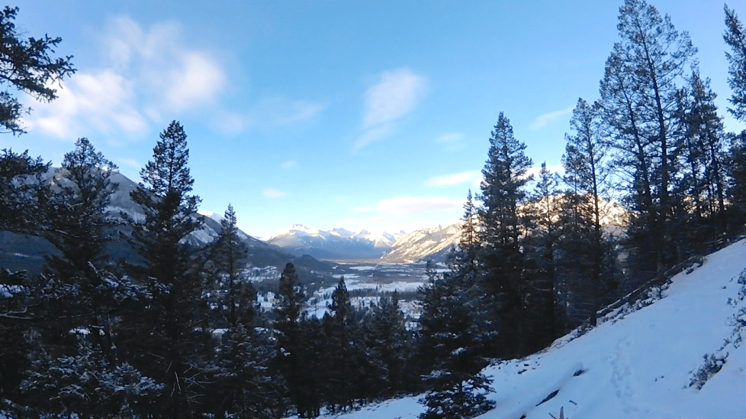 throwback-thursday-4h