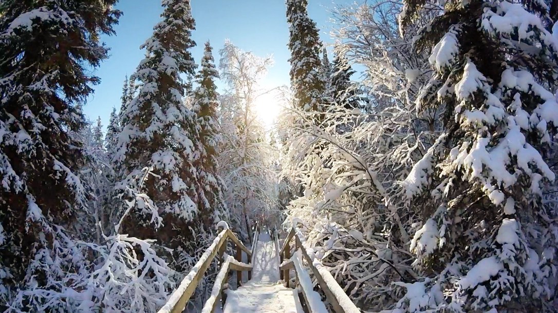 throwback-thursday-6b