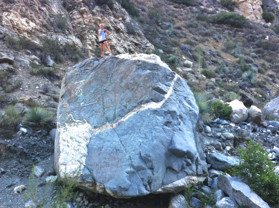 whatever-wednesday-7