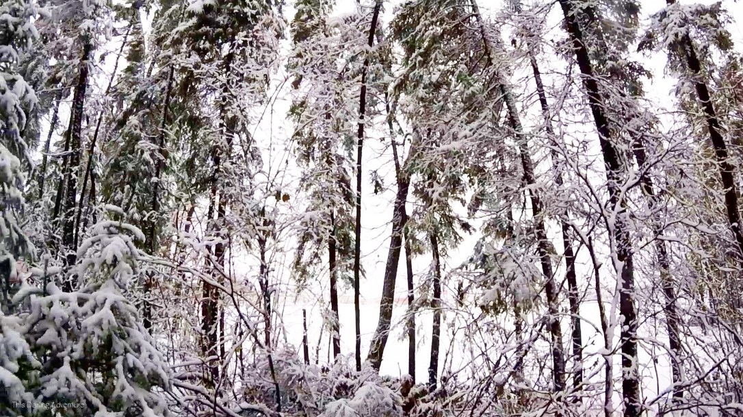 Meaningful Monday 12