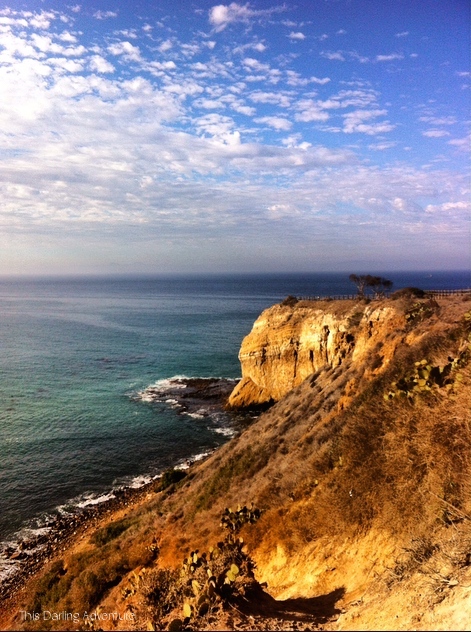 Throwback Thursday 12c