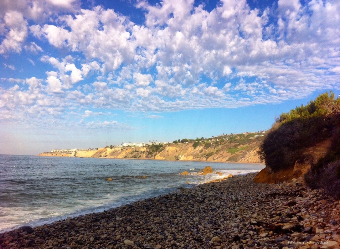 Throwback Thursday 12d