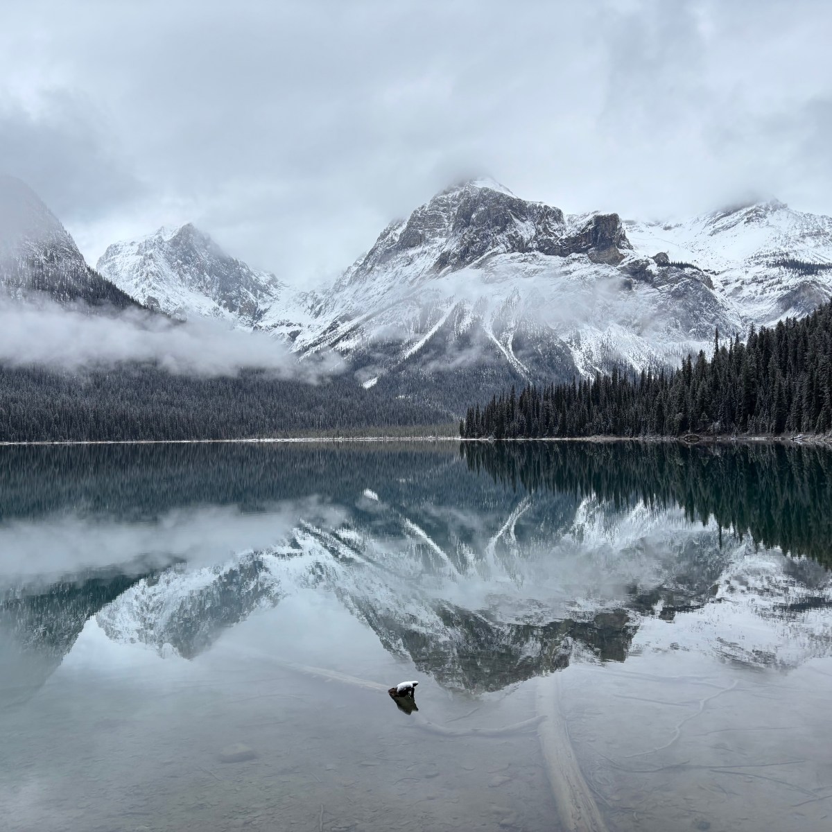 Chipmunk Cheeks & Surrender: Learning to Trust God in the&nbsp;Unknown