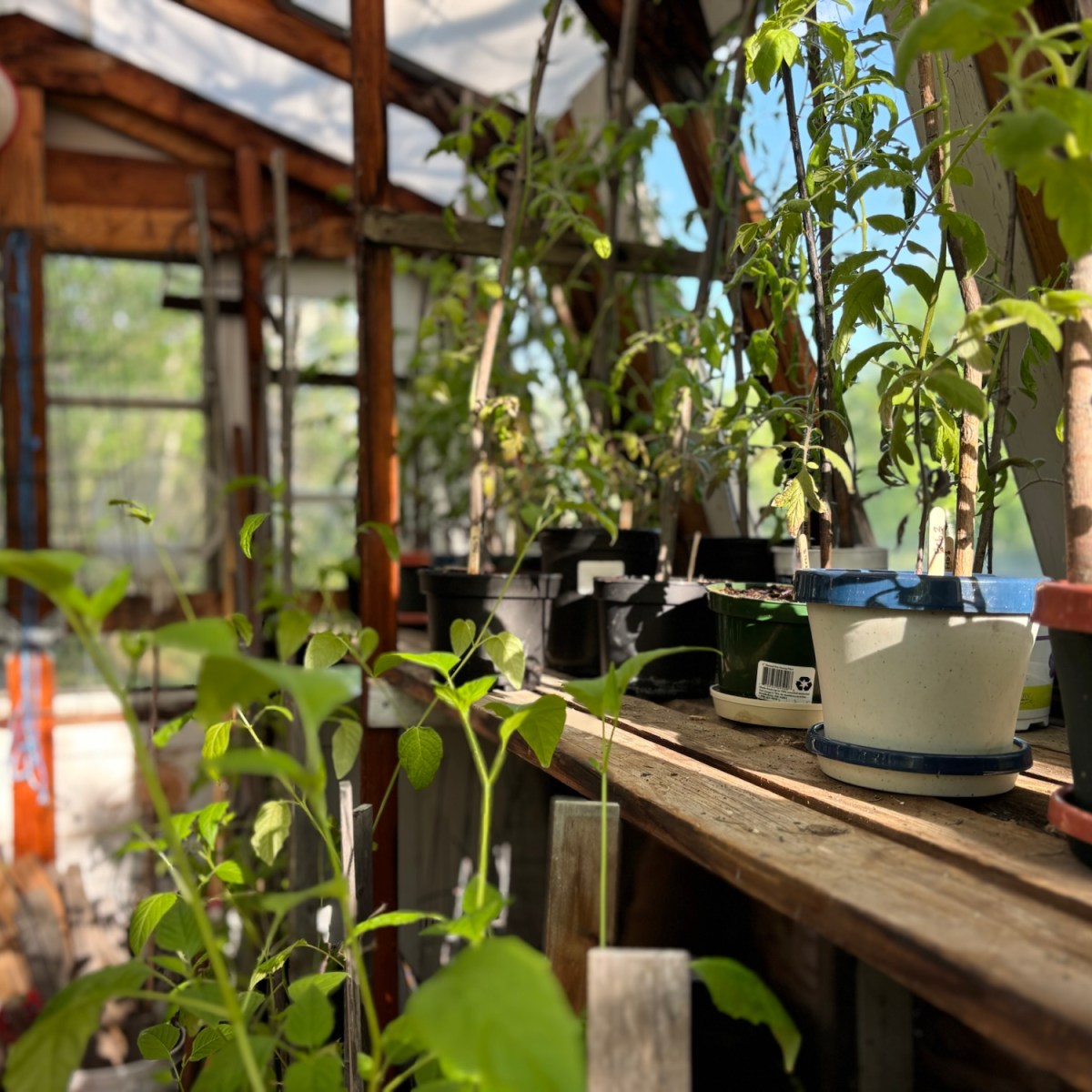 Gardens & Grace: Finding Freedom from the Pressure of the “More”