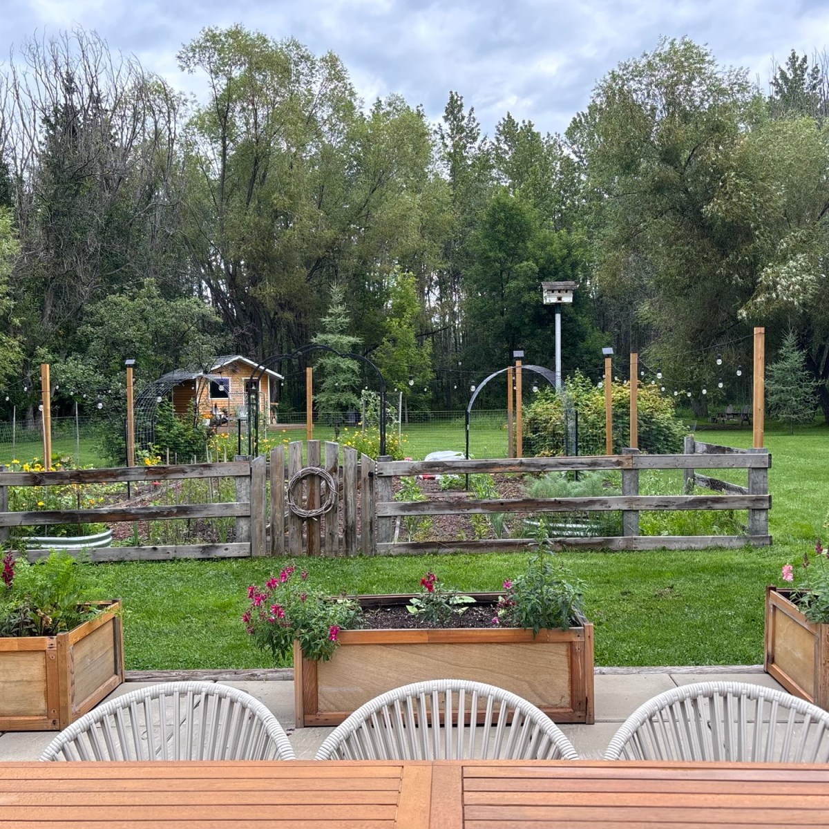 How It’s Growing: An Update From the&nbsp;Garden
