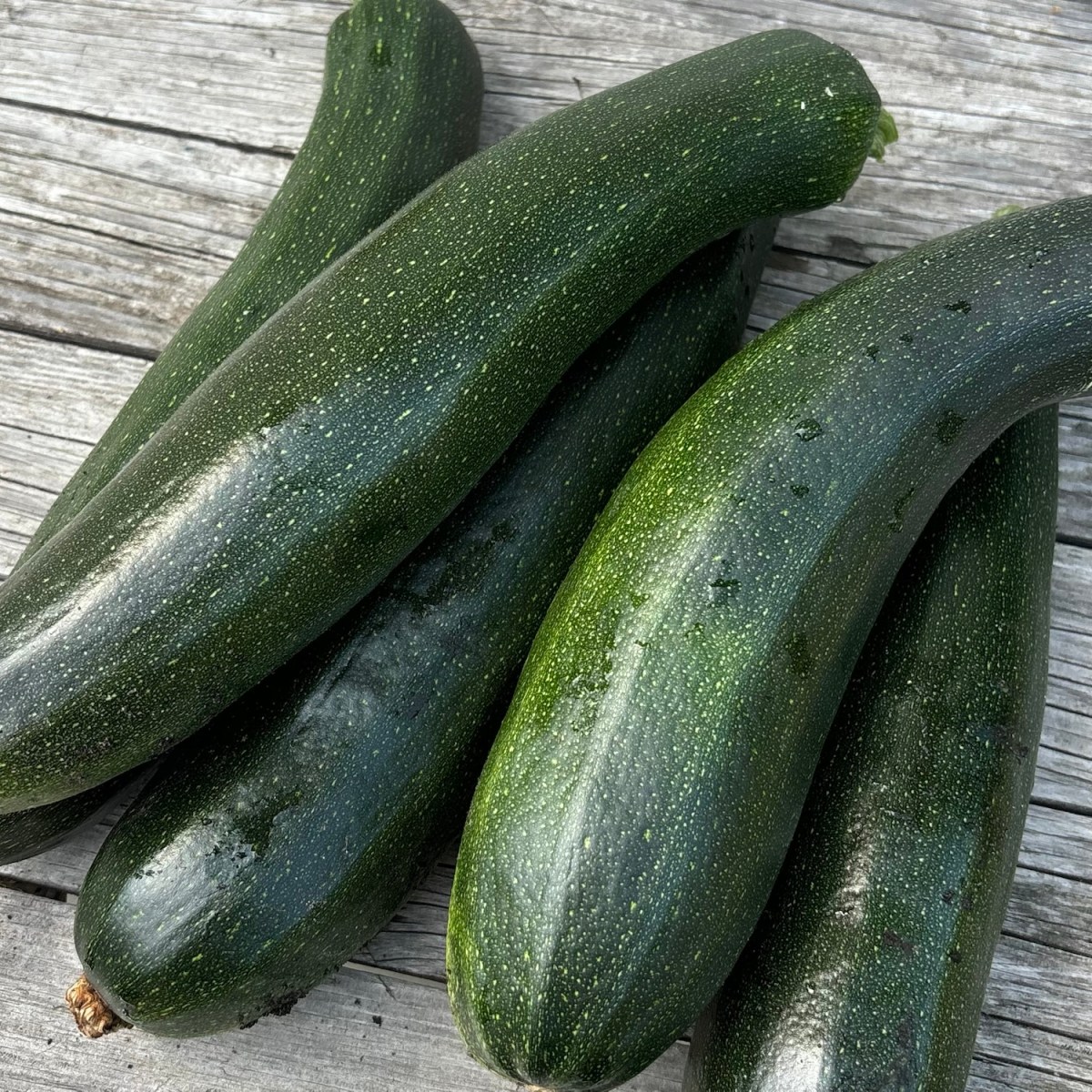 Making the Most of Your Harvest: 20 Simple Zucchini Recipes for Every&nbsp;Meal